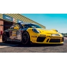 SPARK Porsche 911 GT3 Cup n°57 Cammish Champion Porsche Carrera Cup Royaume Uni 2021