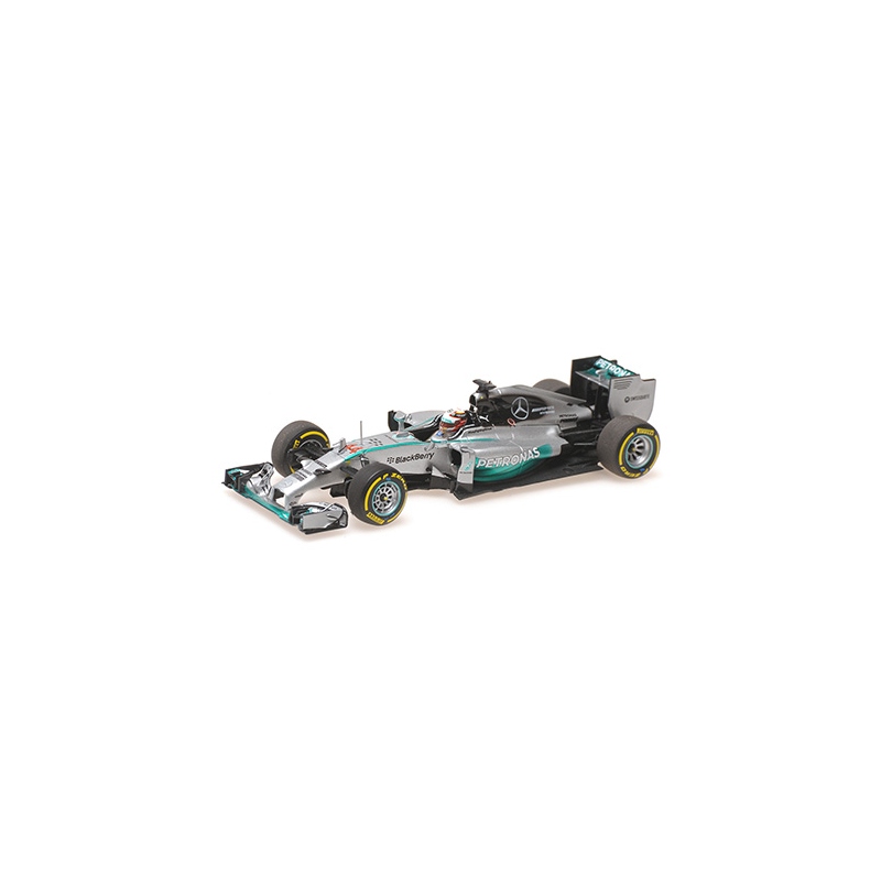 MINICHAMPS Mercedes W05 Hamilton World Champion 2014